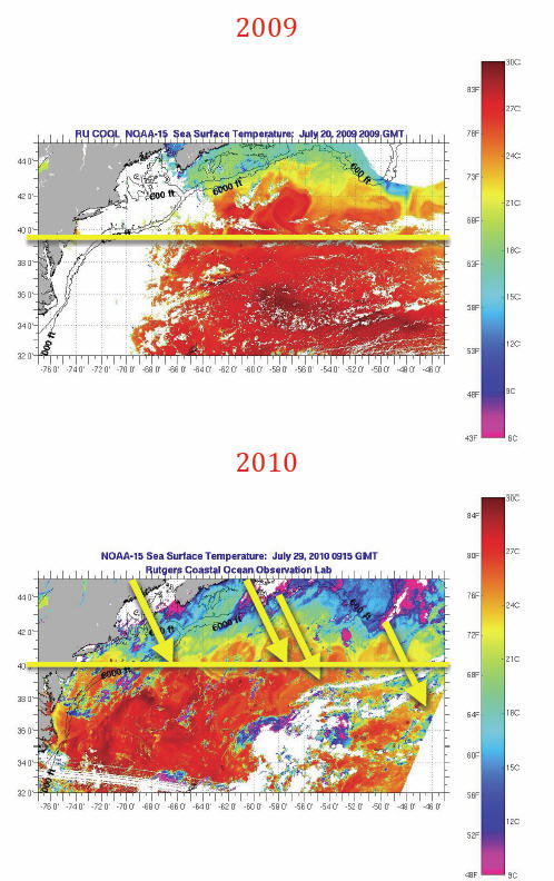изменение климата 2009 -2010